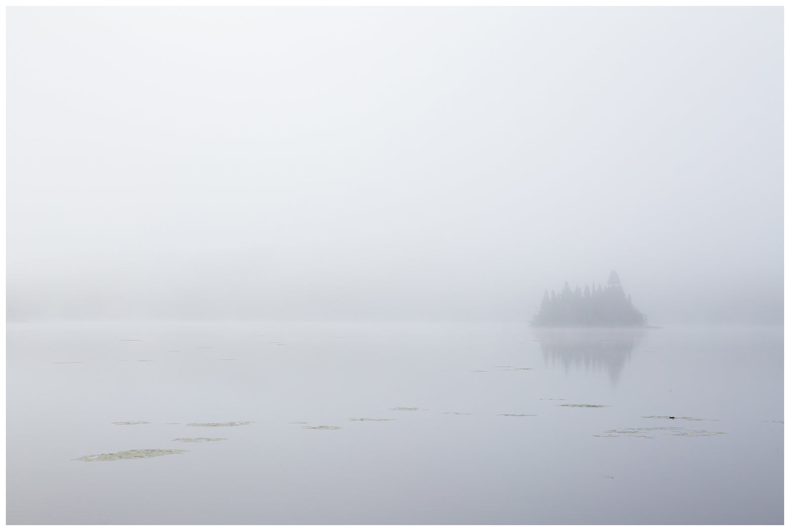 Emerging from the Fog