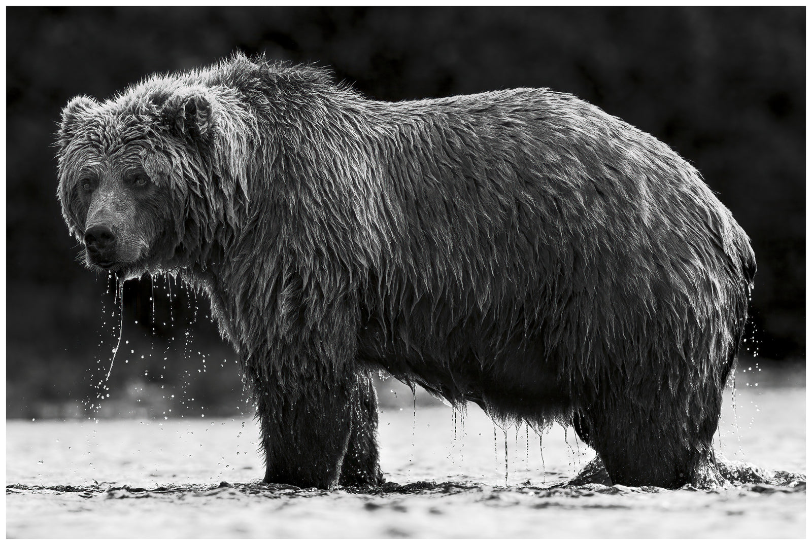 I Hope You Didn't See That...