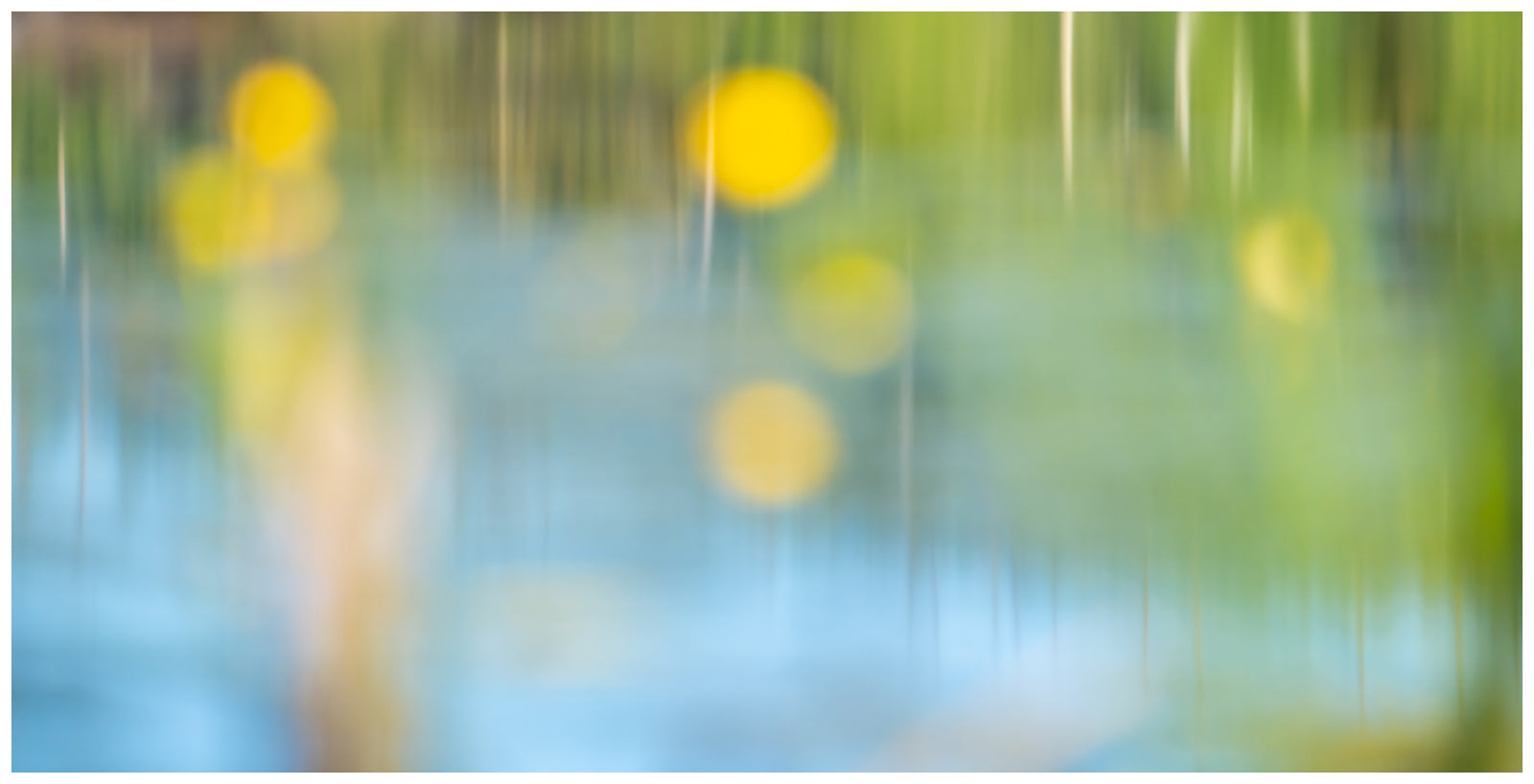 Moose Pond Reflections