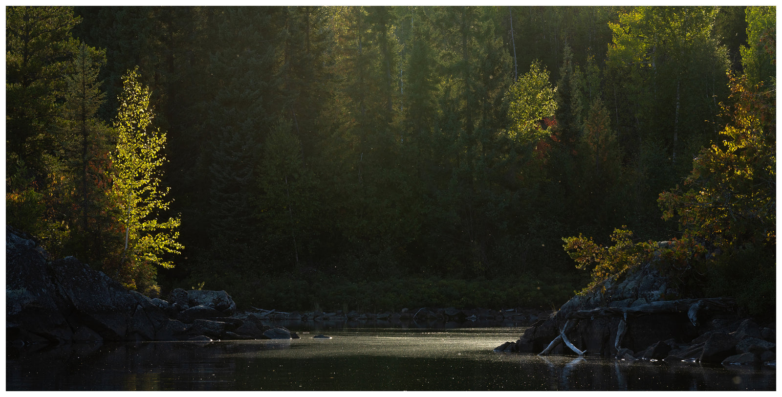 Only in the Boundary Waters