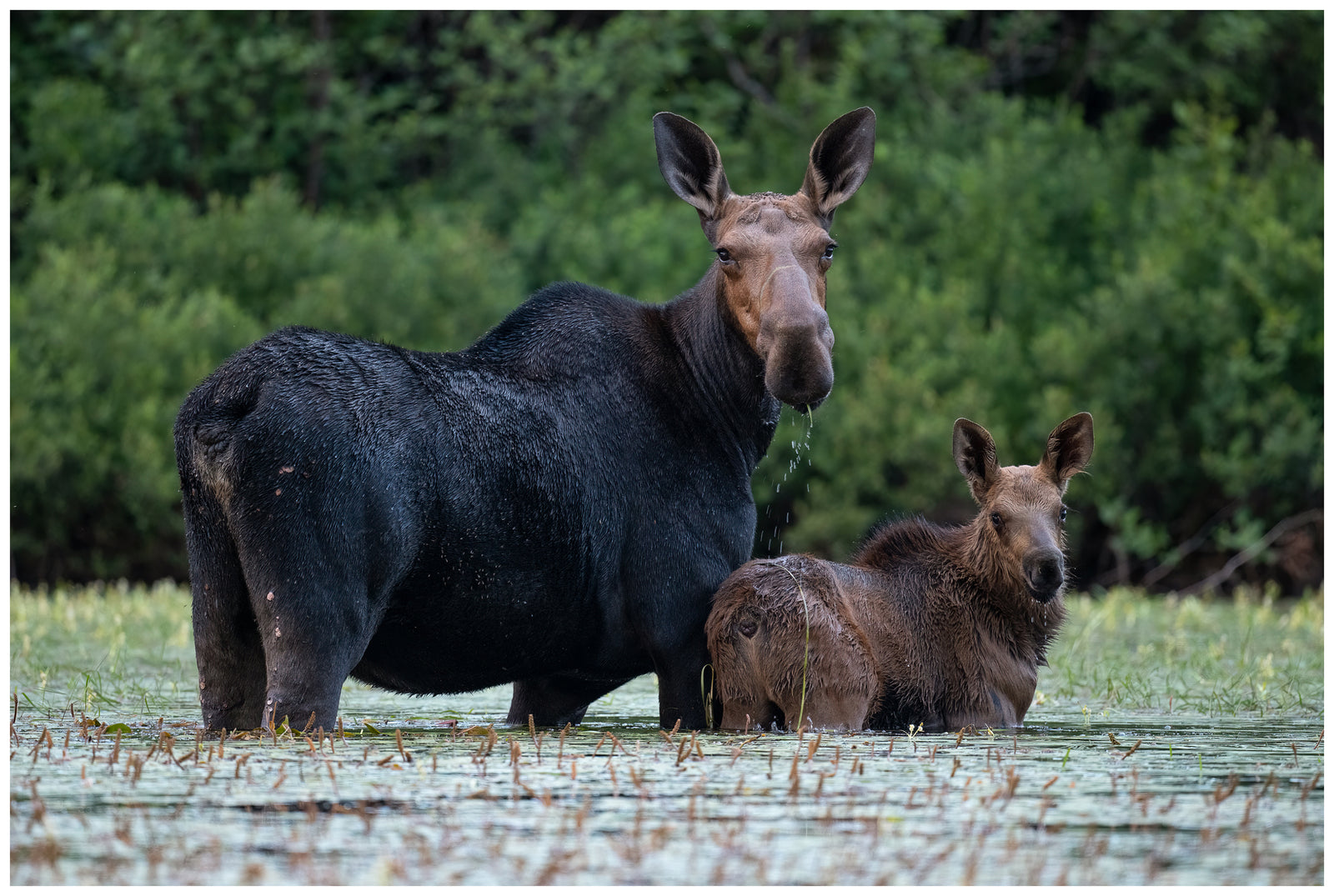 Paddling with Friends
