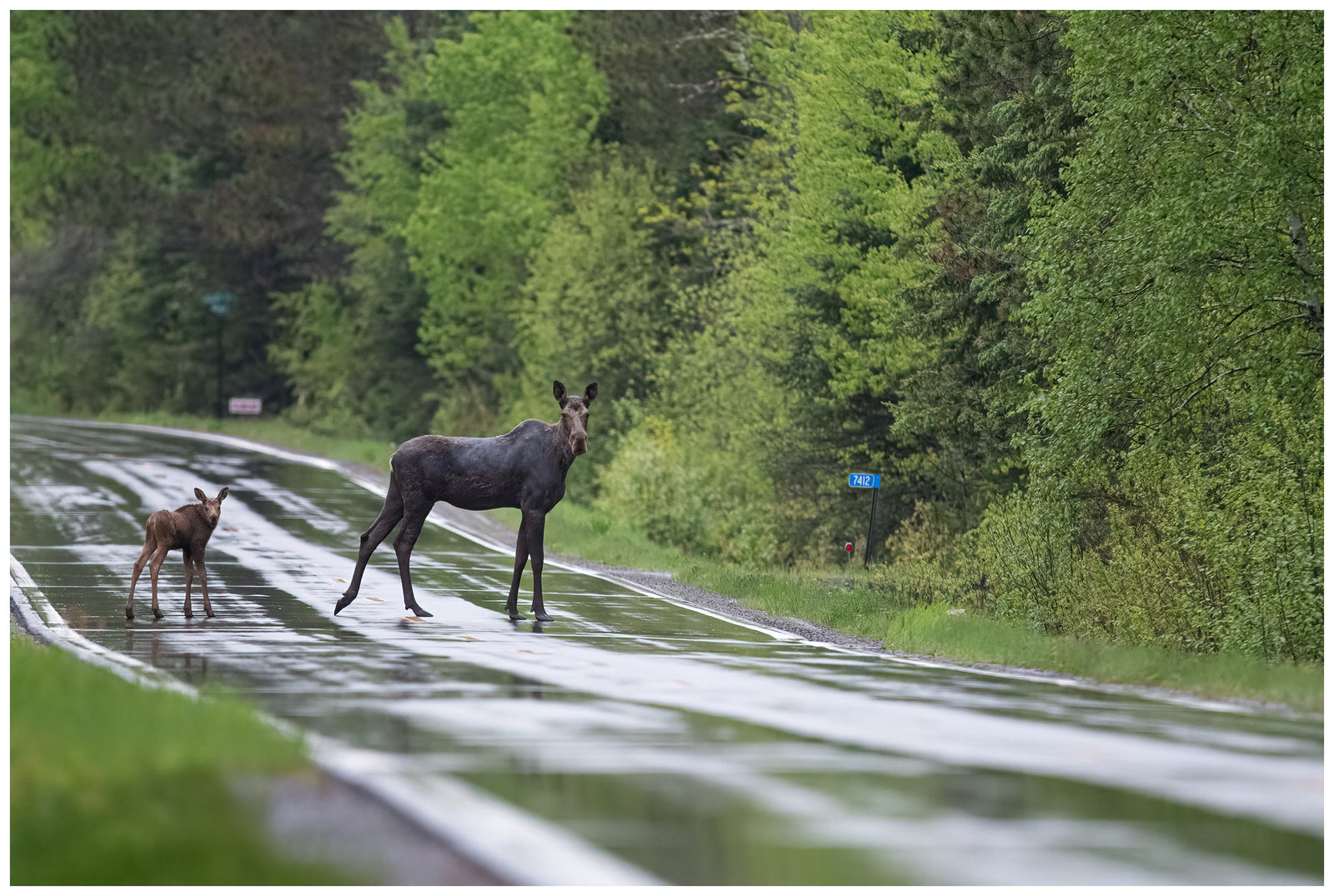 Quintessential Gunflint Trail
