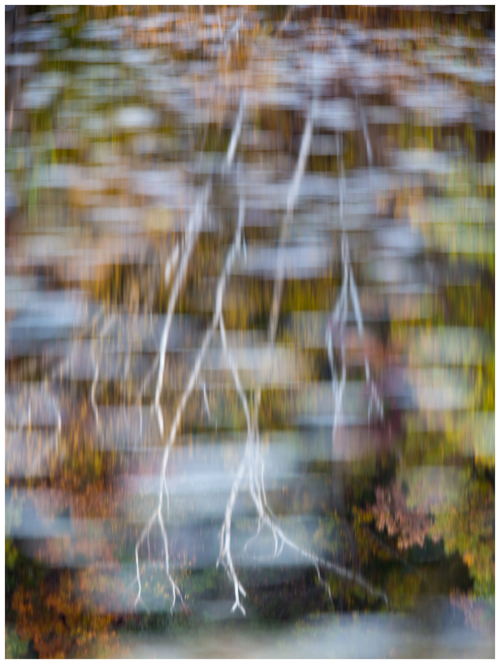 Reflections of Autumn