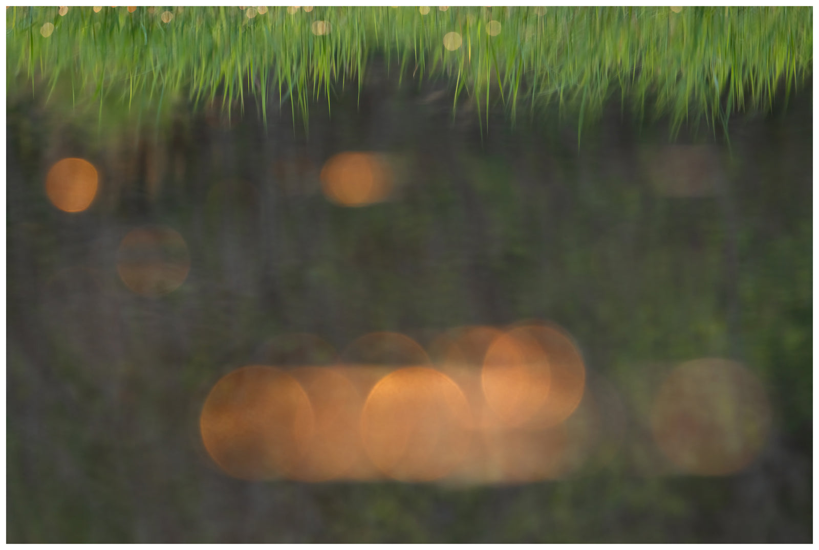 Reflections of Sunset