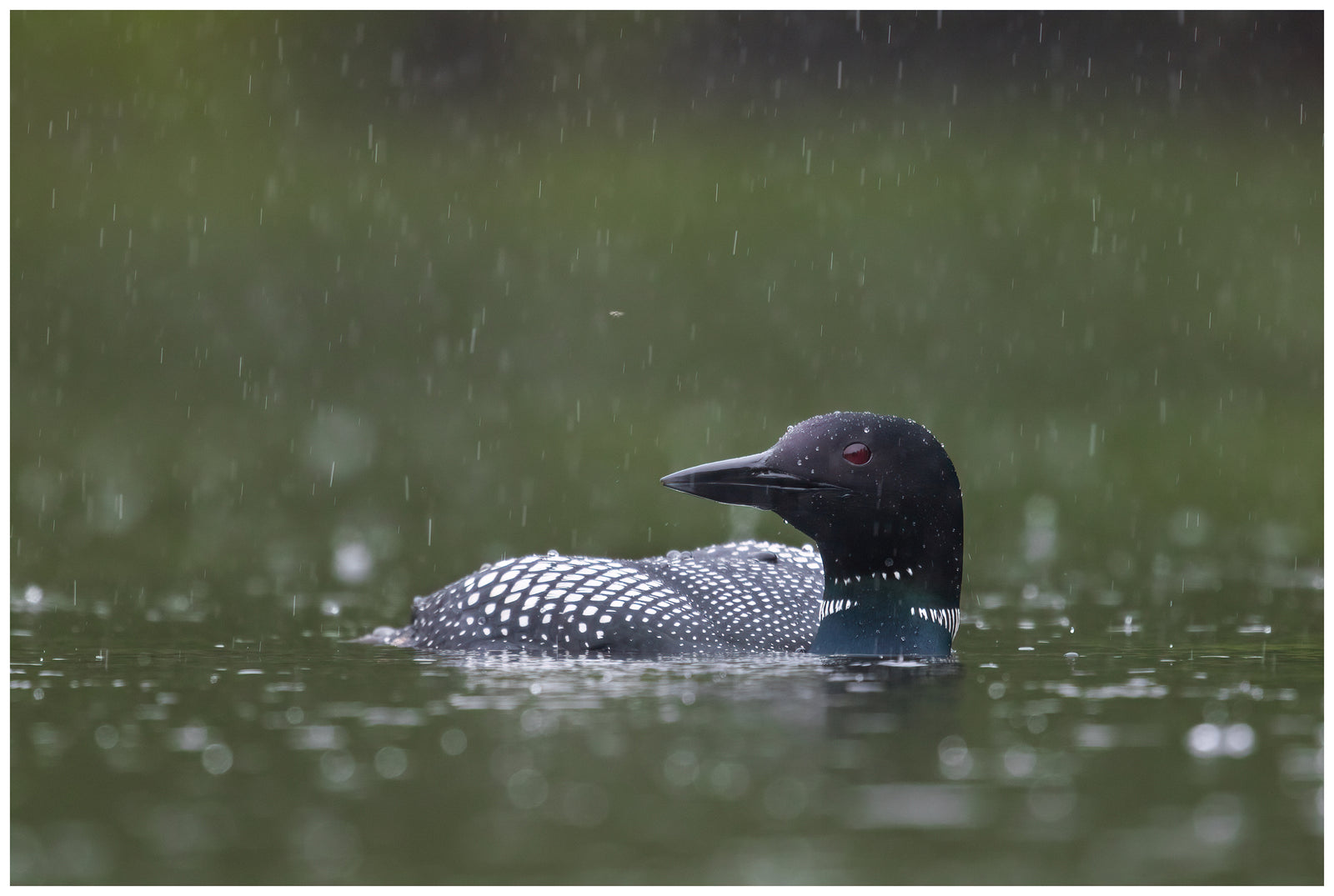 Swimming in the Rain