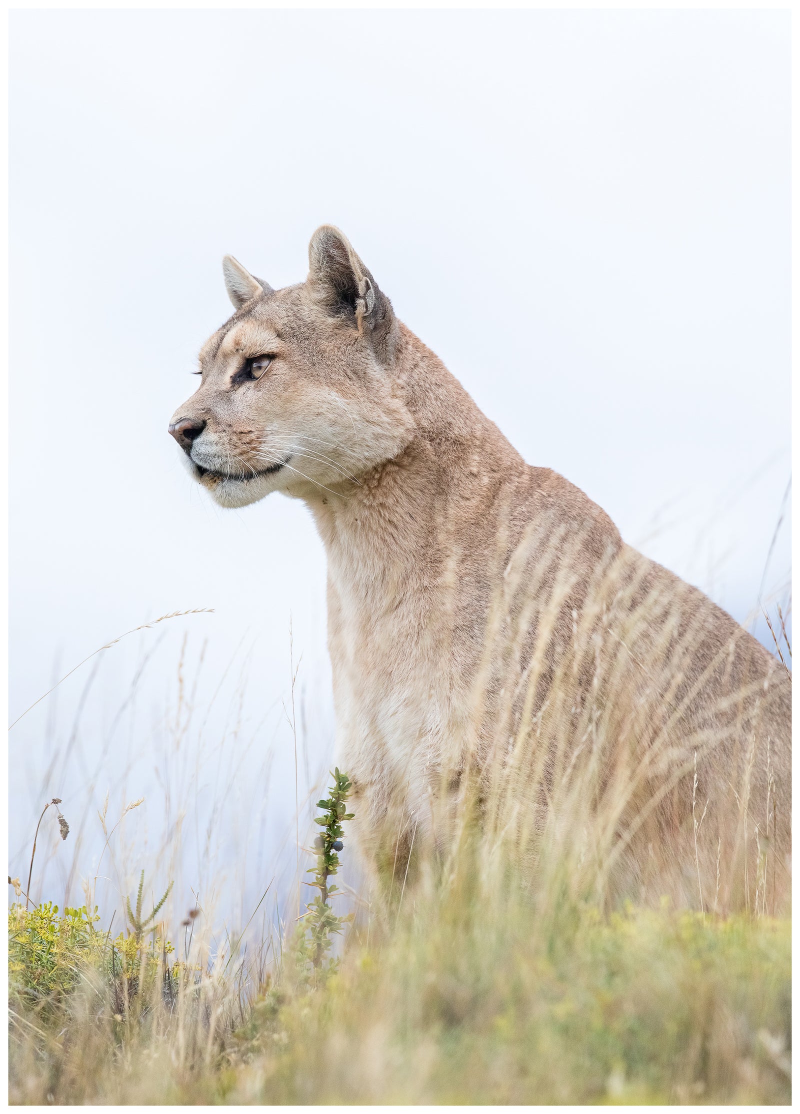 Watching and Waiting